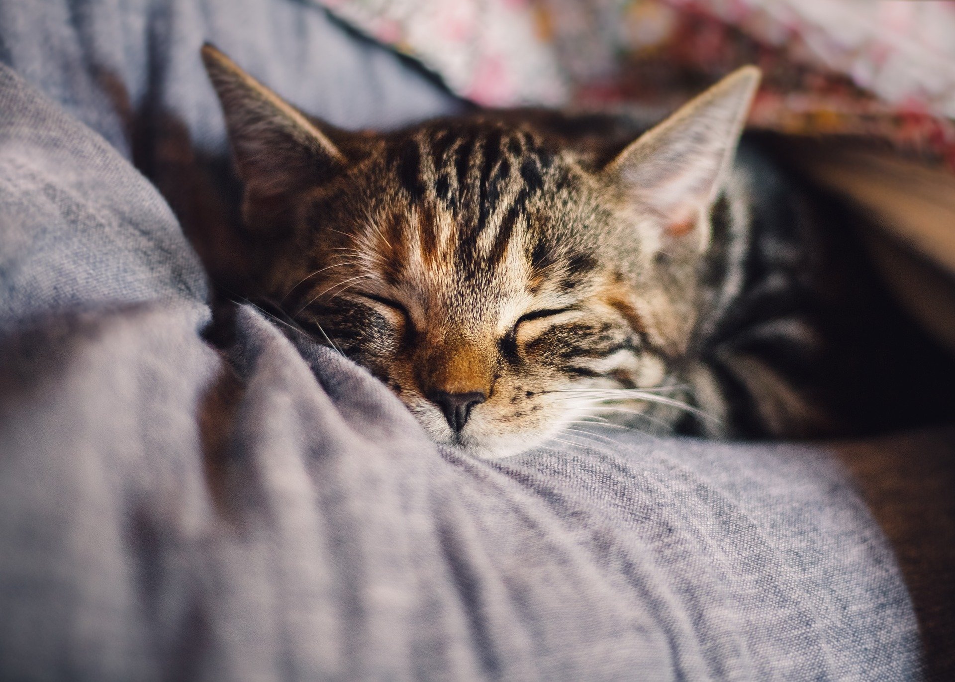 【重要】大曽根のパーソナルジムが教える睡眠の秘密