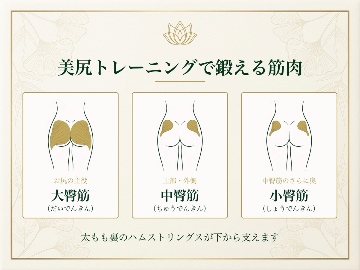 美尻トレーニングで鍛える3つの筋肉（大臀筋・中臀筋・小臀筋）の場所を、後ろ姿のイラストとフリガナつきで示した図解